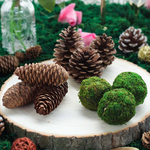 9 Pack Natural Pine Cones and Moss Balls Assorted Potpourri Vase Fillers Bowl DIY Table Decorations