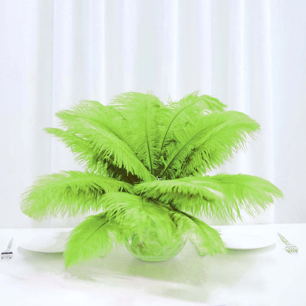 12 Pack | 13 inches -15 inches Green Natural Plume Ostrich Feathers Centerpiece