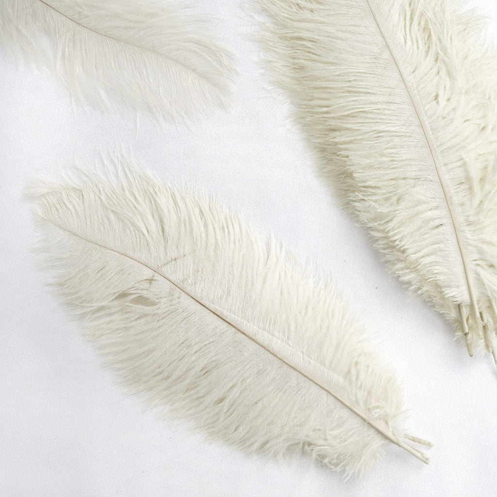 ivory ostrich feathers wholesale