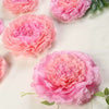 6 Multi Size Pack | Carnation Blush | Pink 3D Wall Flowers Giant Tissue Paper Flowers - 12",16",20"