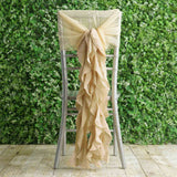 1 Set Champagne Chiffon Hoods With Curly Willow Chiffon Chair Sashes