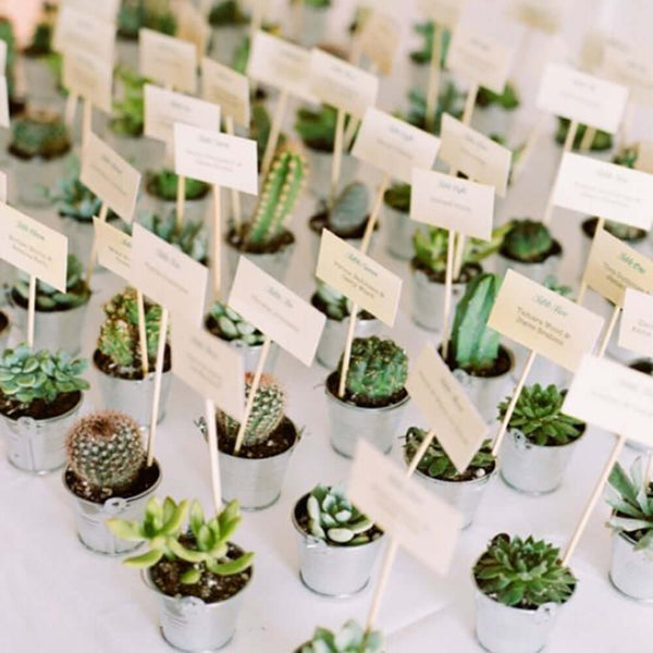 Set of 3 | Assorted Fake Succulents in Pot | 4'' Assorted Green Echeveria Artificial Plants with Pots