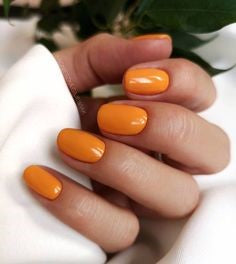 Orange Short Nail Idea