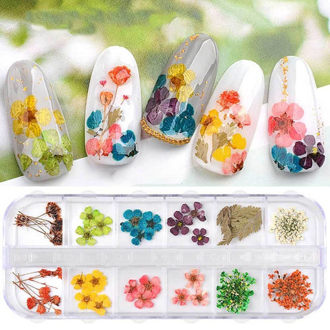 Dried Flower Daisy Sun Flower Pattern Nail Art Decoration