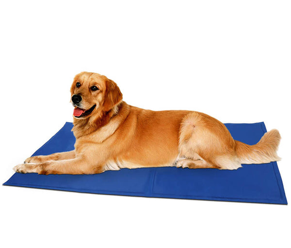 cooling mat for dogs india