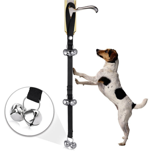 where to buy a bell for dog training