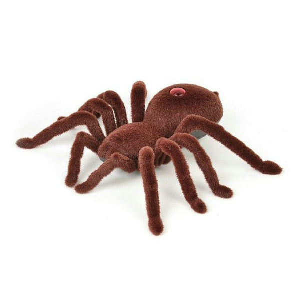 remote control spider toy