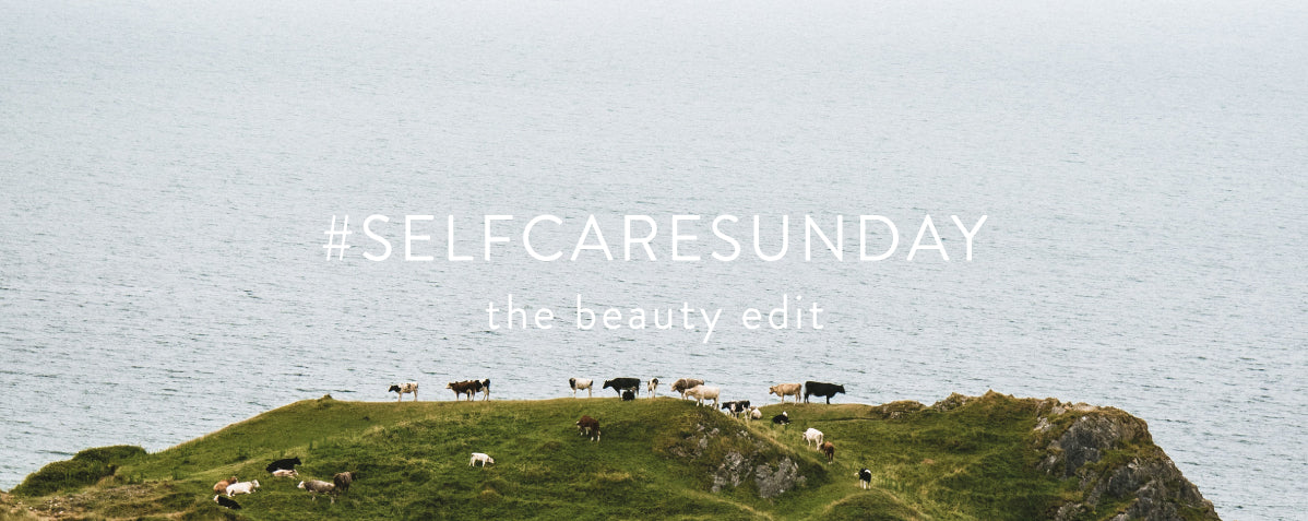 Cows on top of a coastal hill. White text reading #selfcaresunday, the beauty edit.