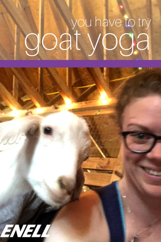 You have to try goat yoga!
