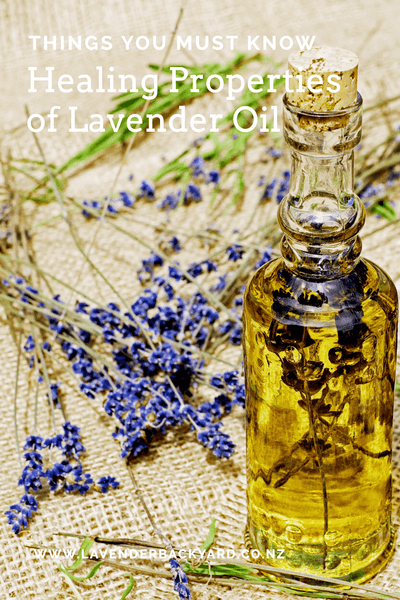 Things you must know: Healing Properties of Lavender Oil from NZ Lavender Farm