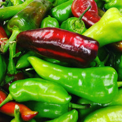 Hatch Chile - Raw - Red and Green