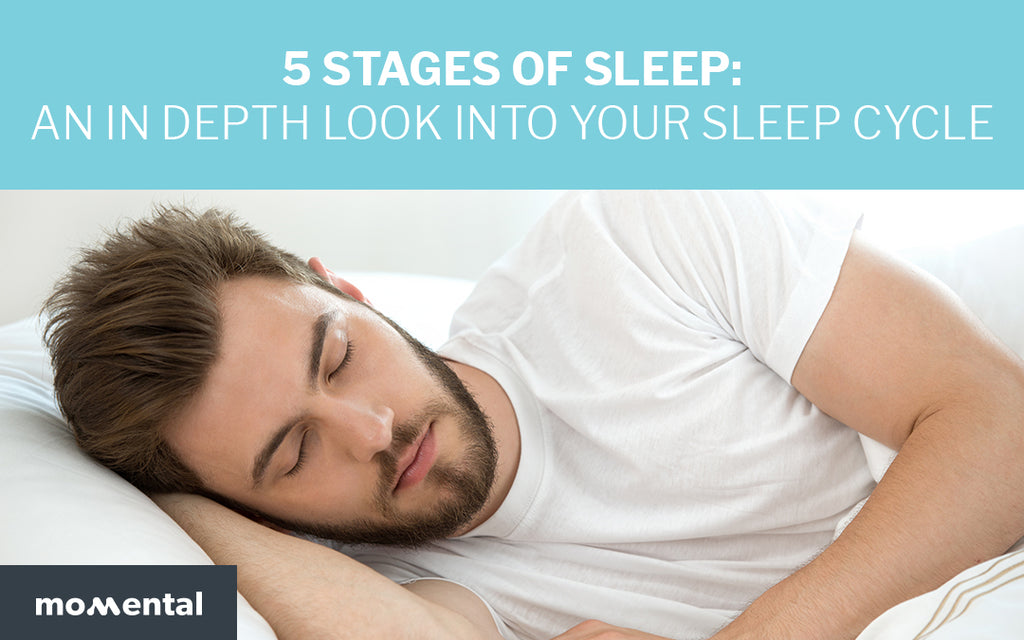5 Stages of Sleep: An In Depth Look Into Your Sleep Cycle | Momental Nootropics