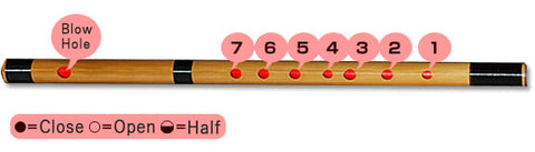 Shinobue Fingering Hole Number