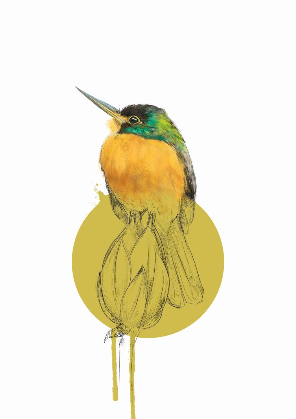 Blue Cheeked Jacamar A3 Giclée Print