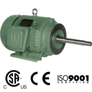 Worldwide Close Coupled TEFC Enclosure C-Face Rigid Base Three-Phase Motors 5 HP 1800 RPM 184JP Frame