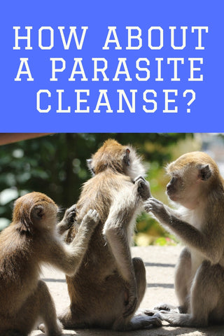 Detoxification Works ®| The Parasite Cleanse