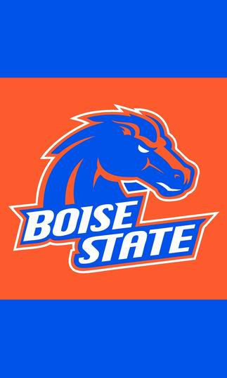 BOISE STATE BRONCOS NCAA flag 3x5ft banner US Free shipping 