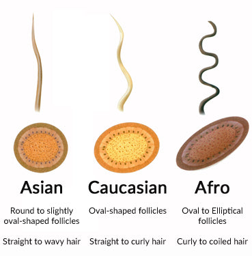 Different race Hair growth rate and follicle shape