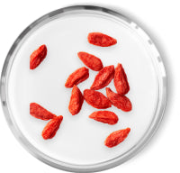 GOJI BERRY