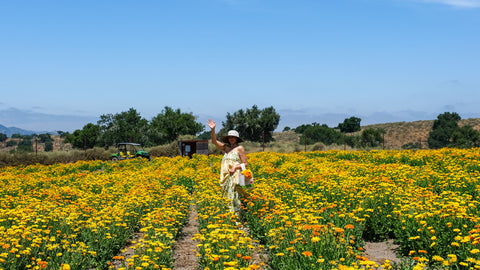 The Benefits of Organic Calendula for Skin & Why We Grow Our Own