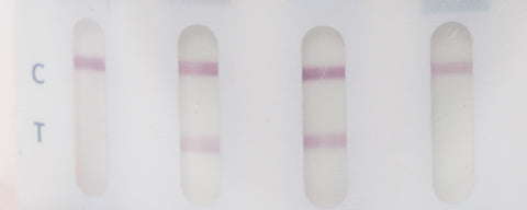 An example of test results. Two drug strips have one pink bar and two other strips have 2 pink bars of different shades of pink.