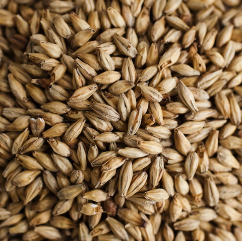 Briess Cherry Wood Smoked Malt - 50 LB