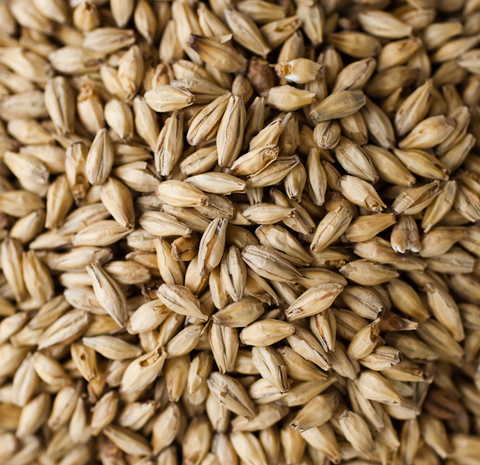 Briess Pale Ale Malt - 10 LB