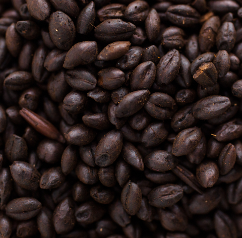 Briess Dark Chocolate Malt - 1 LB