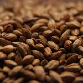 Crisp Brown Malt - 1 LB