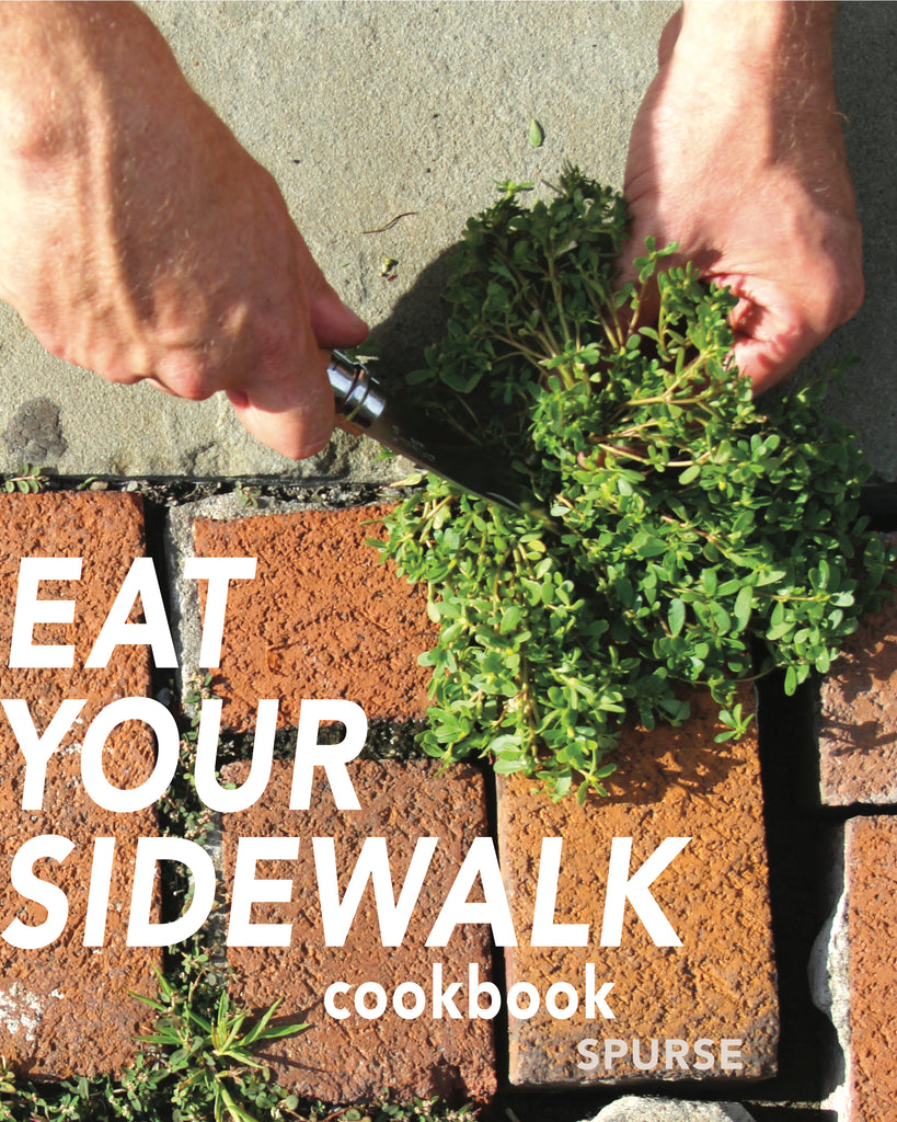 René Redzepi endorses the EAT YOUR SIDEWALK COOKBOOK!