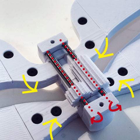 Image of abdominal gears which synchronize the alternation of wing flapping on the Tectonic Toy Dragonfly