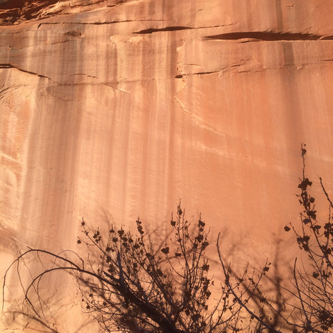 desert varnish on Navajo sandstone 