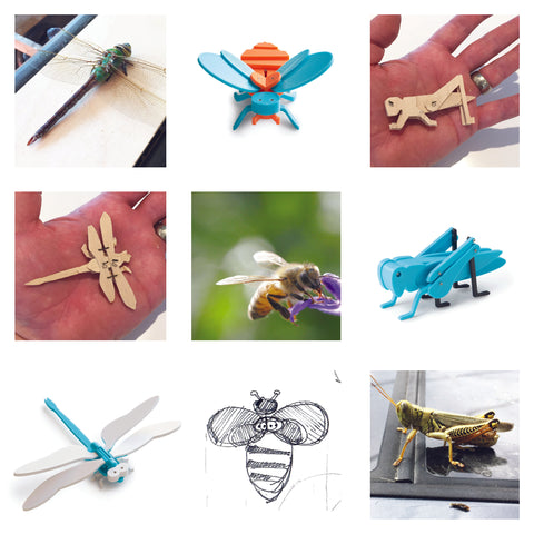 nine square image showing photographs of a dying dragonfly, a sick grasshopper, and a live bee, as well as miniature design models for toy a toy dragonfly and toy grasshopper, a pen sketch for a bee design, and Eric Jacoby Design Tectonic Grasshopper, Tectonic Bee, and Tectonic Dragonfly