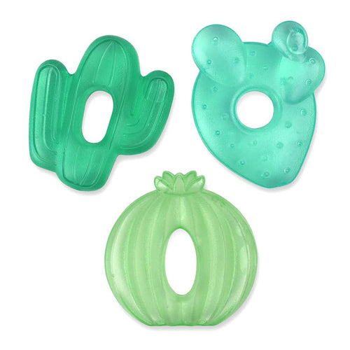 Itzy Ritzy cacti cutie cooler teethers against white backdrop