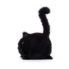 Kitten Caboodle Black