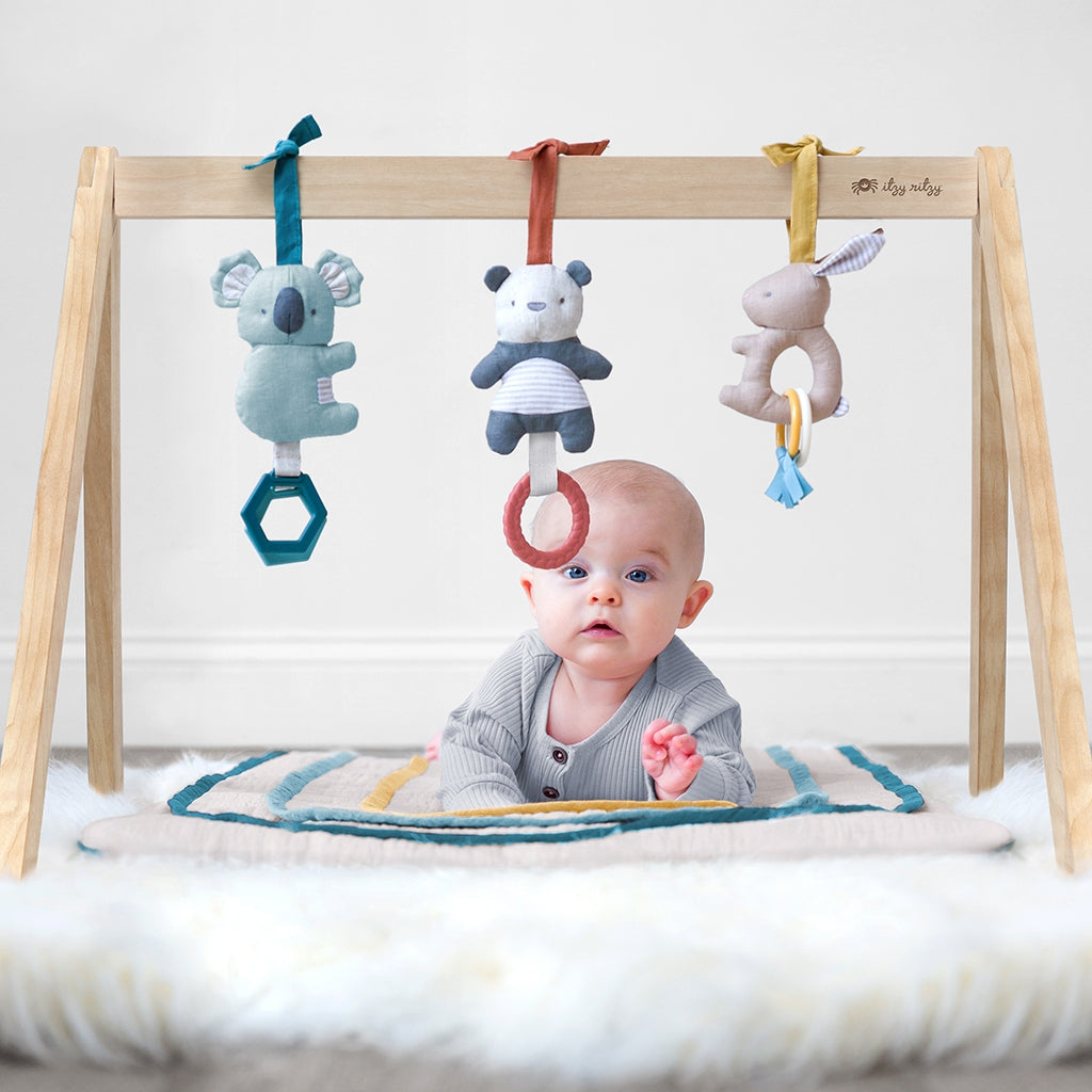 Activity Gym - Wooden Gym with Toys