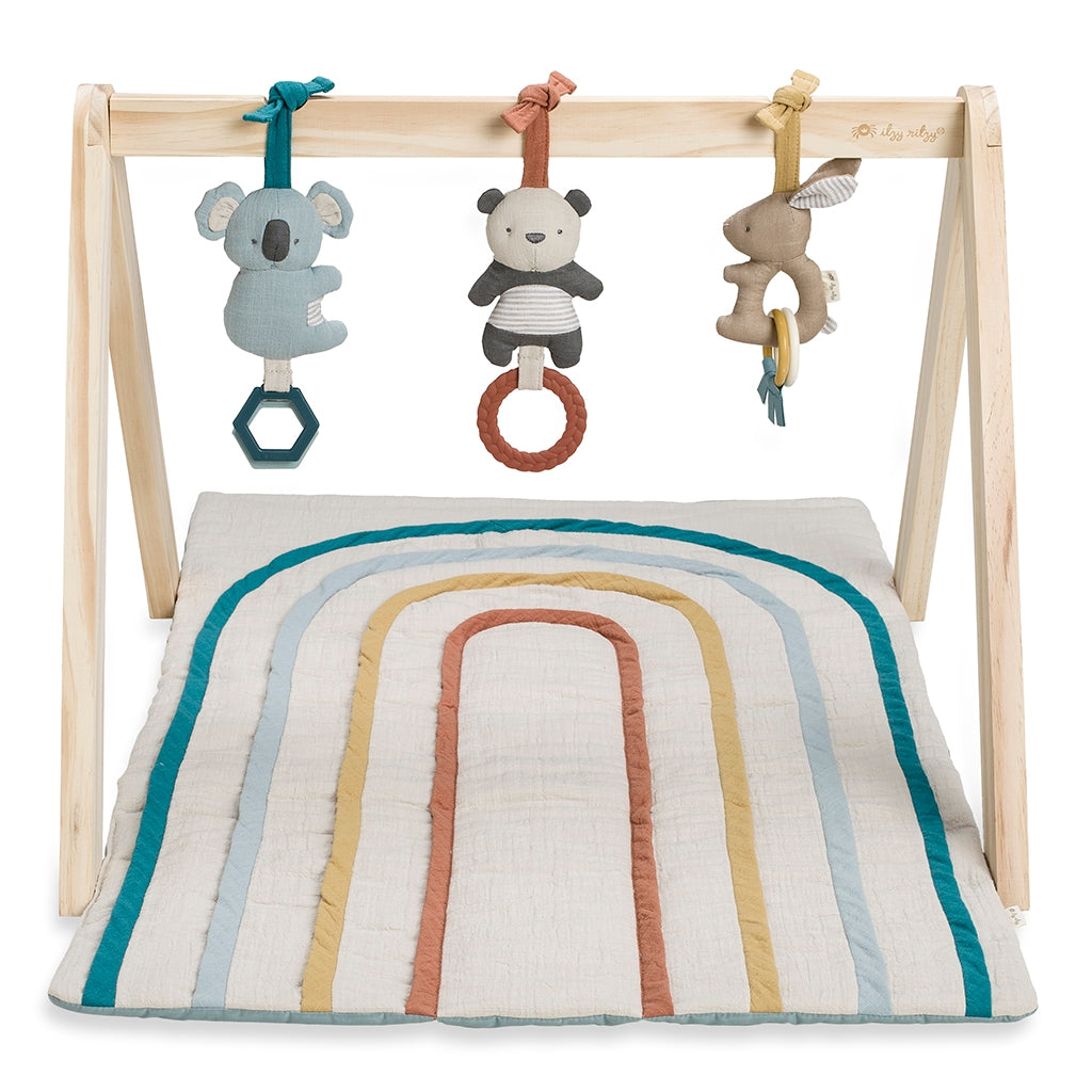 Activity Gym - Wooden Gym with Toys