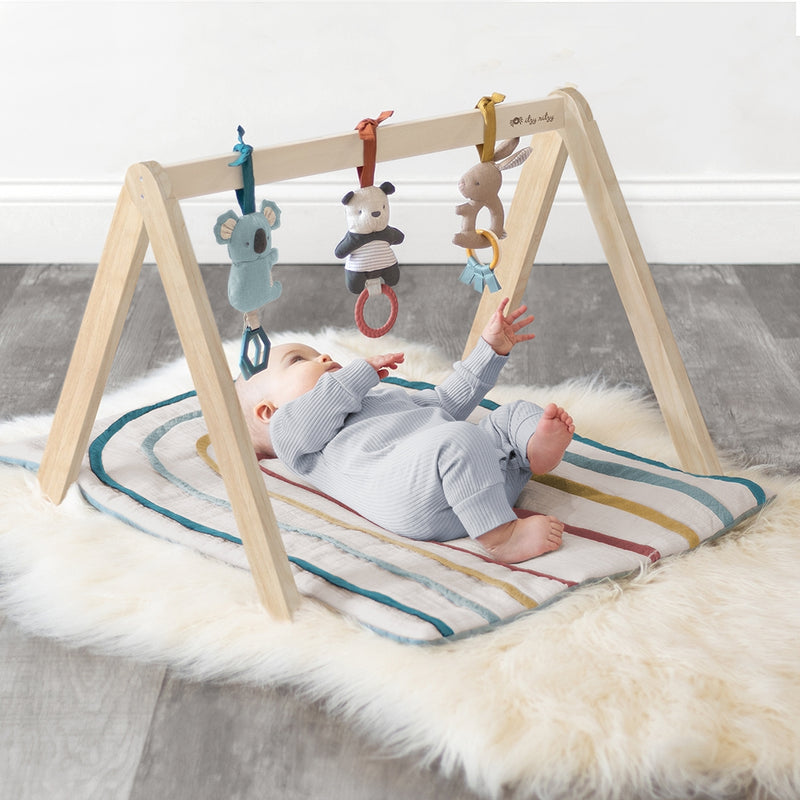 Activity Gym - Wooden Gym with Toys