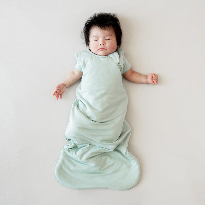 Sleep Bag Tog 1.0