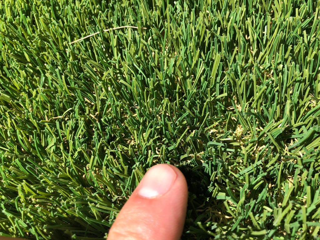 Is Window Glare Melting Turf Grass? Turf Guard Window Film