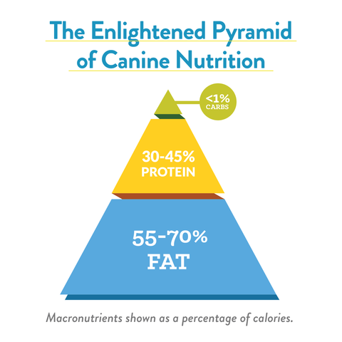 enlightened food pyramid of canine nutrition