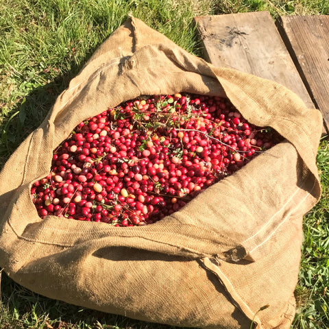 cranberries in burlap