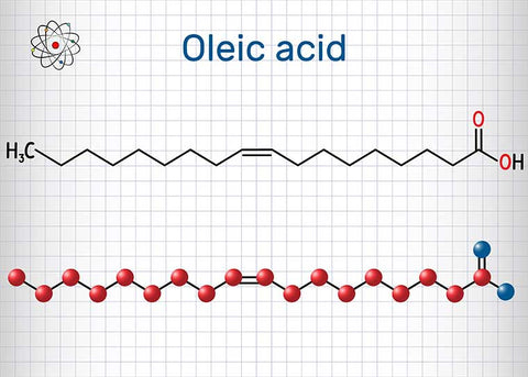 Oleic Acid  Oleic acid is also called omega 9, it is a monounsaturated fatty acid, and it’s actually the most common fatty acid found on earth. Like omega 6, it can be found in many of the components that make up skin, like in wax or cholesterol esters.  On its own, oleic acid has a penetrating effect, meaning that it can break through different cellular layers in the body. Studies of isolated oleic acid imply that the fatty acid on its own could be disruptive or irritating for skin.  However, omega 9 is almost never isolated when it comes to natural oils and skincare. It’s commonly found in plant-based oils, and is usually paired with other fatty acids, like linoleic acid.  Natural oils that have high levels of oleic acid also have higher numbers on the comedogenic scale. Some oils that are especially high are coconut oil or olive oil. While these ingredients sound like a recipe for irritation, some plant oils have a healthy balance of oleic acid.  Sea buckthorn oil, especially the seed oil, has a nearly perfect ratio of oleic acid, linoleic acid, and even omega 3. The oleic acid in sea buckthorn seed oil is beneficial because it helps to deeply penetrate to help nurture skin cells.  In balanced oils like sea buckthorn seed oil, omega 9 can have hydrating and soothing properties for skin.
