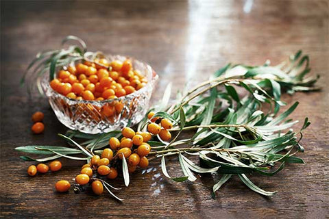 Sea buckthorn Berries 