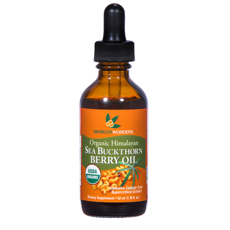 Sea buckthorn berry oil is made up of a group of complex lipids which work within the skin to support healthy function. It contains sterols, which support the protective barrier of the epidermis. These sterols help retain moisture on a cellular level which means that the oil can help restore firmness and elasticity in our skin.  It contains liposomes, which help the nutrients move through the skin, delivering nutrition to ceramides. In turn, ceramides help hydrate, support the skin’s natural regenerative properties, and help smooth the external appearance of skin.