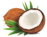 coconut