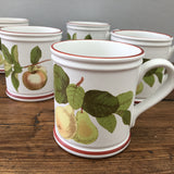 Denby Pottery Seasons of Mellow Fruitfulness Mugs