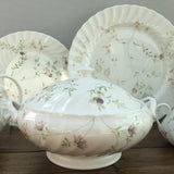 Wedgwood Campion