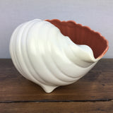 Poole Pottery Red Indian Winkle Shell (Red)