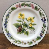 Royal Worcester Worcester Herbs Plates